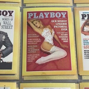 90s Vintage Pamela Anderson Playboy Chromium Cover Card Collectors 1995 #86